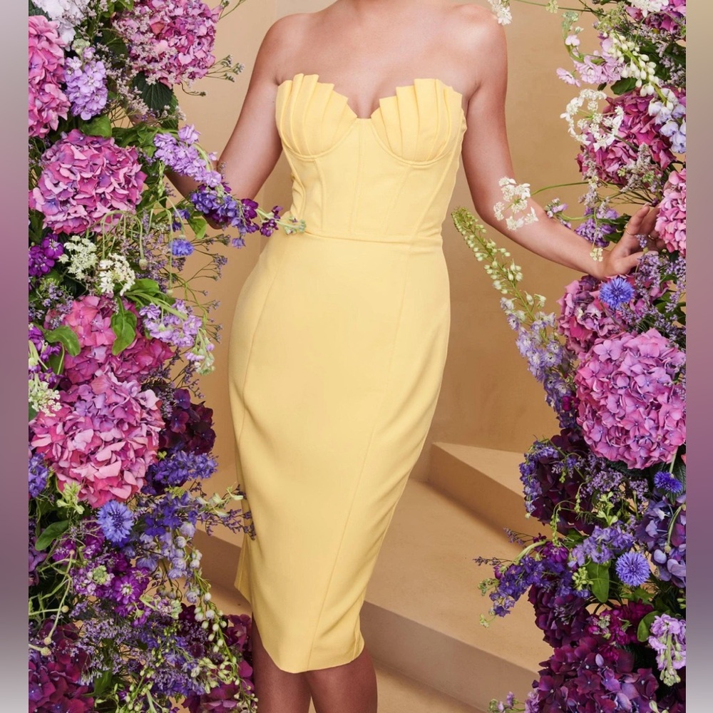 NWT Lavish Alice Pleated Bust Dress